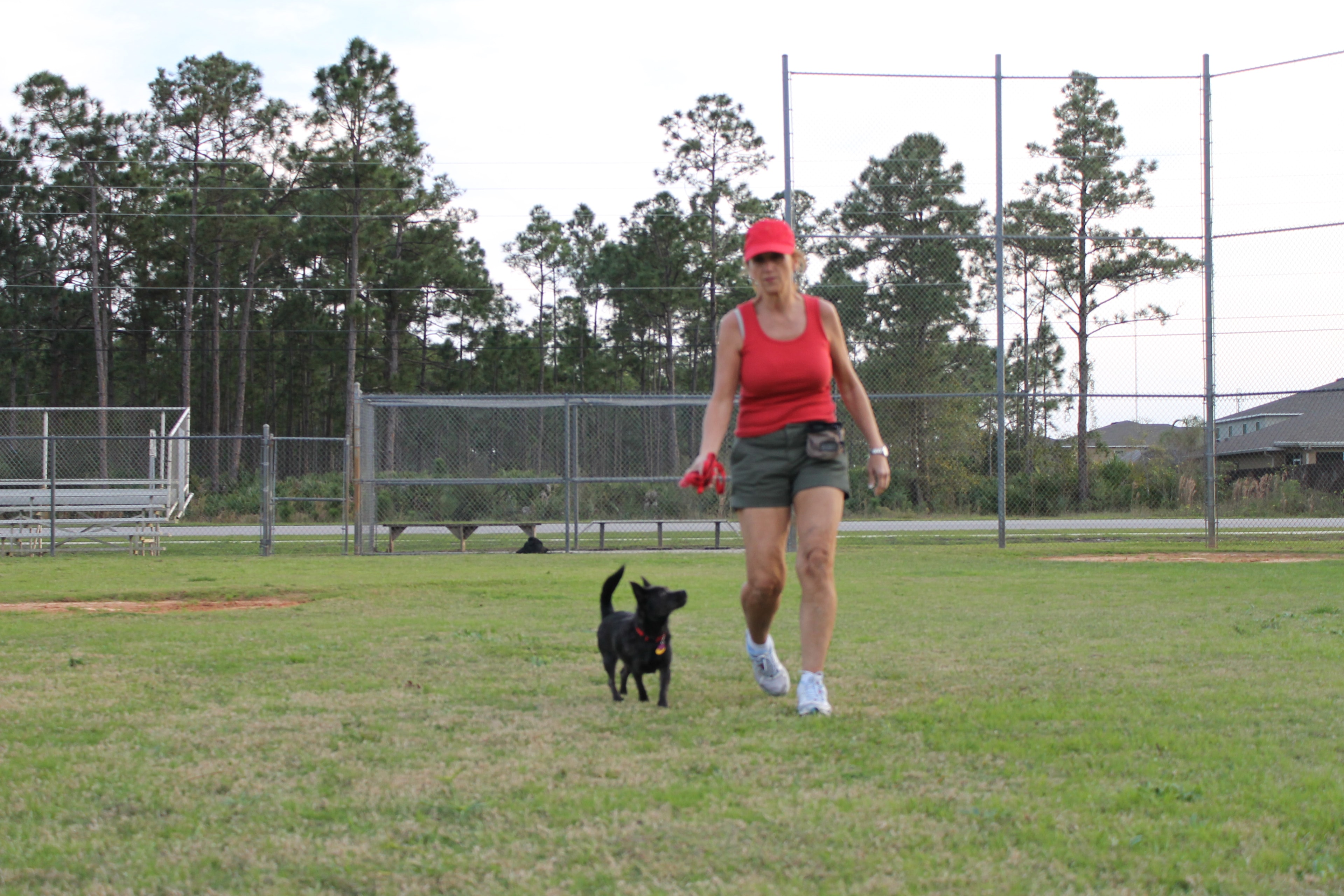 Carol training dog in the field