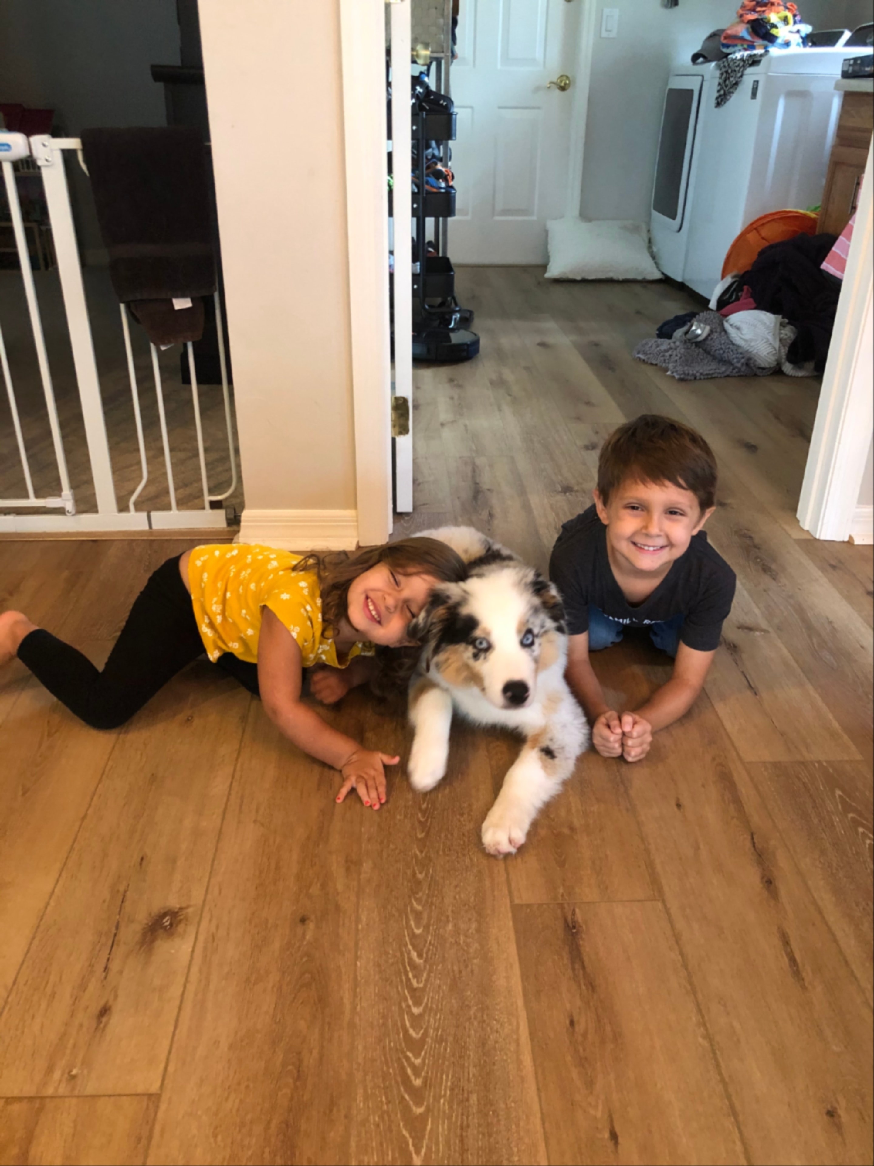 Puppy Potential