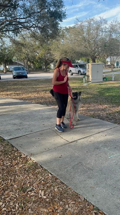 Off-Leash Reliability: Real-World Control