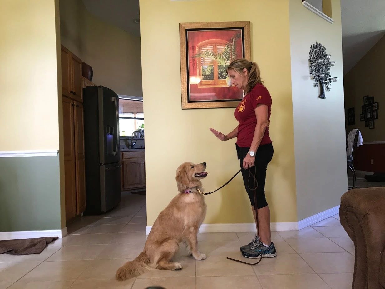 Private In-Home Behavior & Obedience